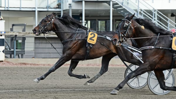 Foto: MALIN ALBINSSON / TR BILD