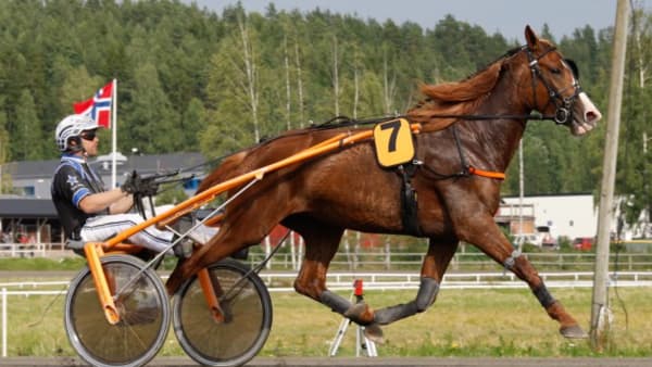 Foto: LENNART KIHLMAN