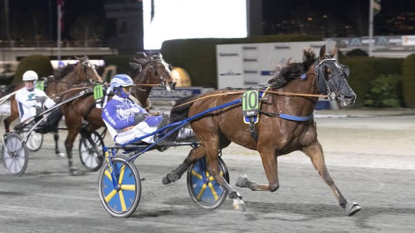 Foto: HESTEGUIDEN.COM