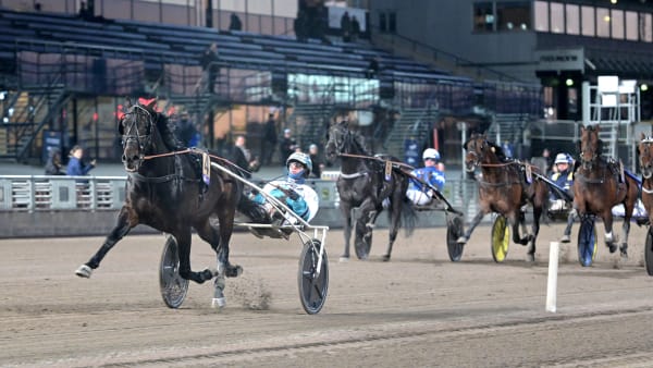 Foto: LARS JAKOBSSON / TR BILD