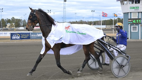 Foto: LARS JAKOBSSON / TR BILD