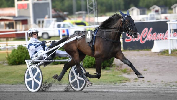 Foto: MALIN ALBINSSON / TR BILD