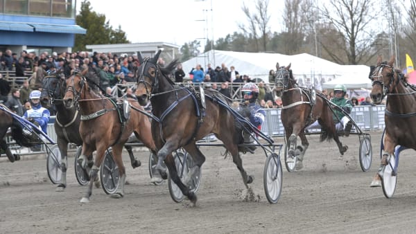 Foto: LARS JAKOBSSON / TR BILD