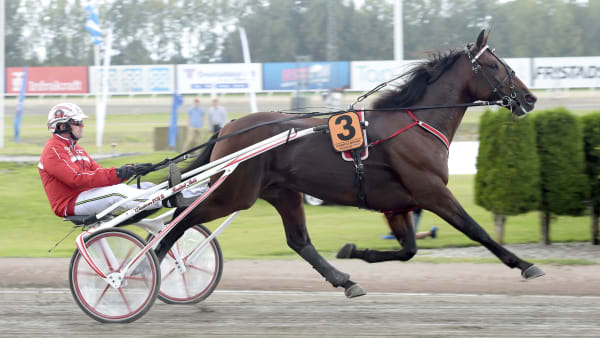 Foto: LARS JAKOBSSON / TR BILD