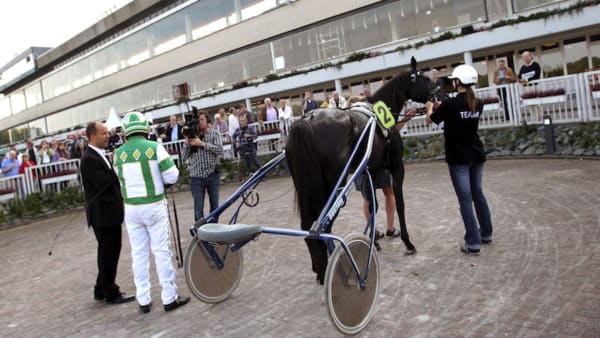 Foto: Maria Holmén/TR Bild