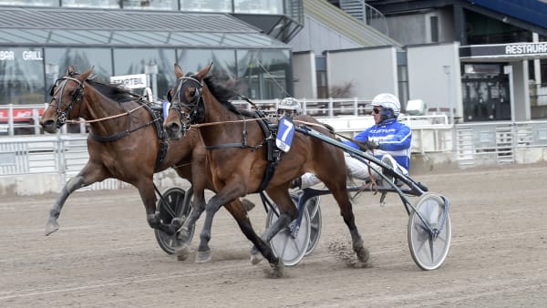 Foto: LARS JAKOBSSON / TR BILD