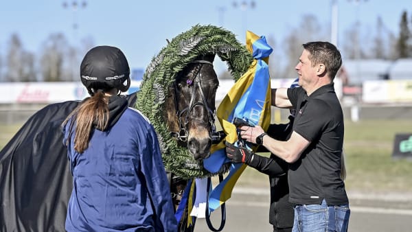 Foto: JENNY REHNMAN / TR BILD