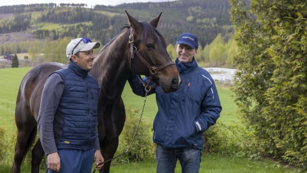 Foto: Roger Svalsröd/Hesteguiden