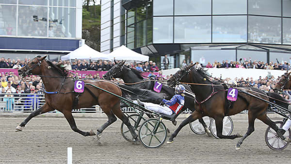 Foto: JEANNIE KARLSSON