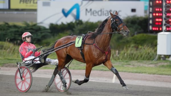 Foto: JEANNIE KARLSSON