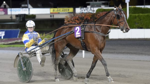 Foto: LARS JAKOBSSON / TR BILD