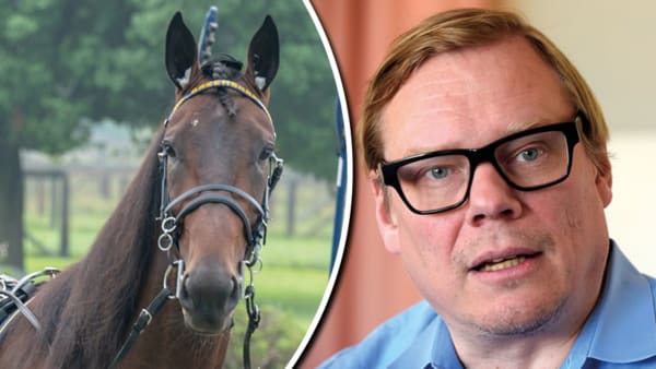 Foto: Thomas Blomqvist/Lars Jakobsson/TR Bild/Montage