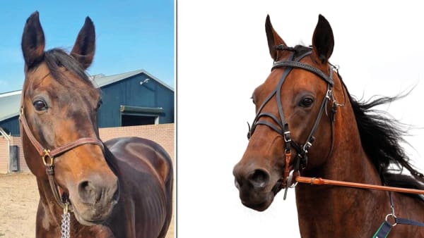 Foto: Privat/Mia Törnberg/TR Bild