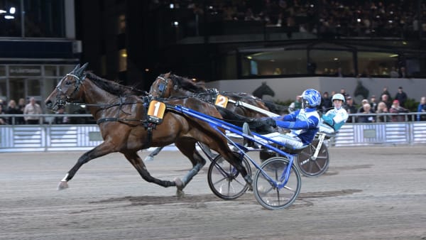 Foto: LARS JAKOBSSON / TR BILD