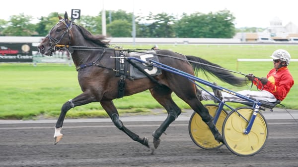 Foto: THOMAS BLOMQVIST / TR BILD