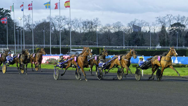 Foto: Jean-Luc Lamaere/TR BILD