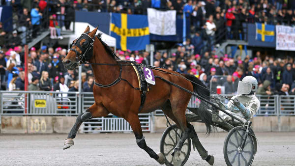 Foto: MARIA HOLMÉN / TR BILD