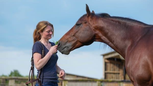 Foto: THOMAS BLOMQVIST / TR BILD