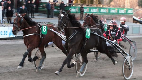 Foto: GUNILLA KÖNIG/STALLTZ.SE