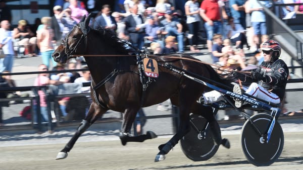 Foto: LARS JAKOBSSON / TR BILD