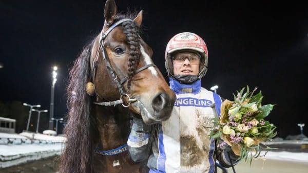 Foto: DAVID SCHREINER / TR BILD