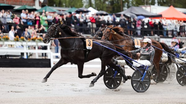 Foto: Maisa Hyttinen/Suomen Hippos