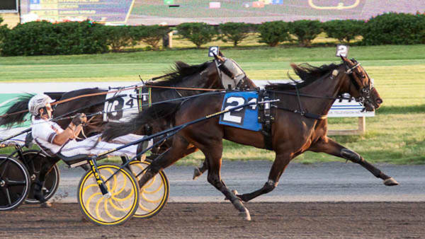 Foto: Michael Lisa/Lisa Photo