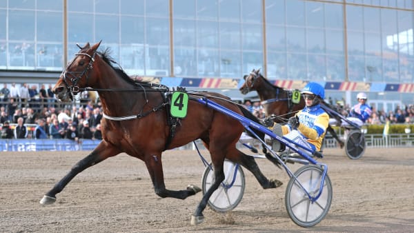 Foto: MARIA HOLMÉN / TR BILD