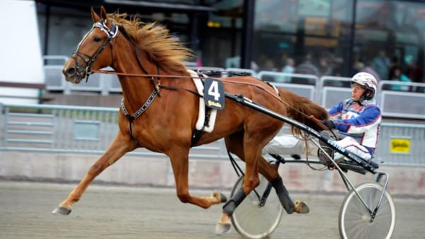 Foto: MARTIN LANGELS/ALN