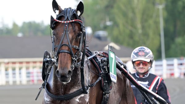 Foto: LARS JAKOBSSON / TR BILD