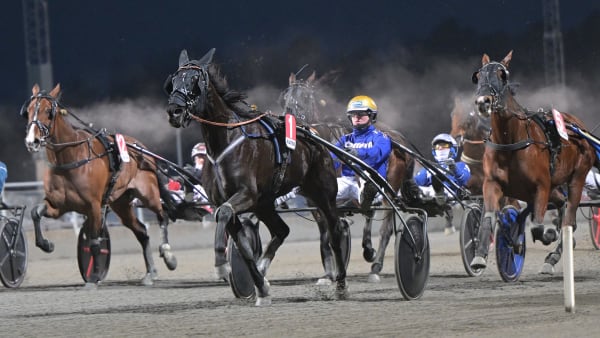 Foto: LARS JAKOBSSON / TR BILD