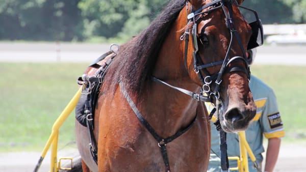 Foto: KEN WEINGARTNER