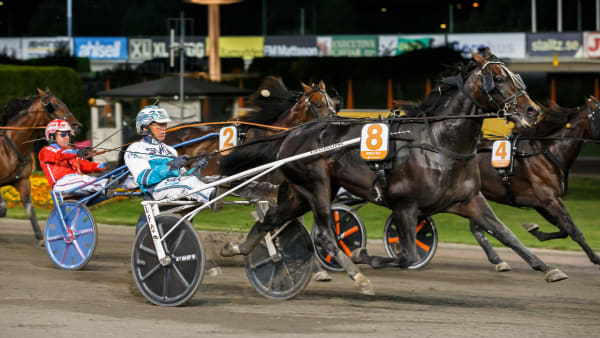 Foto: LENA EMMOTH / TR BILD