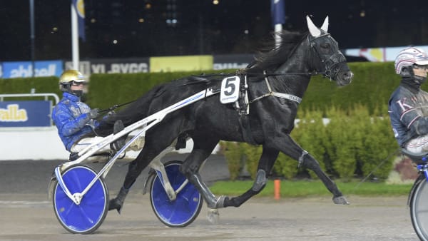 Foto: LARS JAKOBSSON / TR BILD