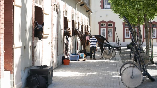 Foto: TR BILD