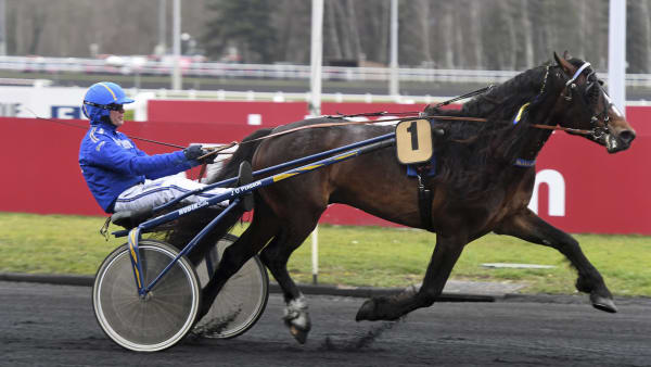 Foto: LE TROT