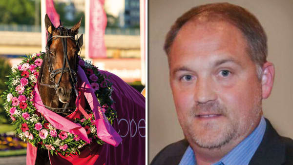 Foto: MONTAGE TR BILD /USTA