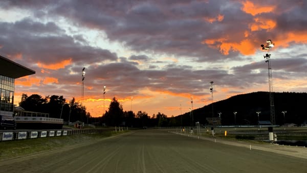 Foto: LARS JAKOBSSON / TR BILD