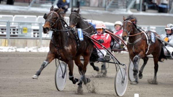 Foto: MARTIN LANGELS/ALN