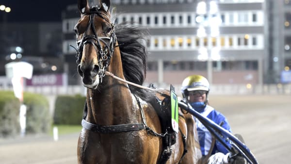 Foto: LARS JAKOBSSON / TR BILD