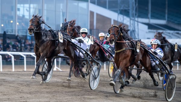 Foto: MIKAEL ROSENQUIST / TR BILD