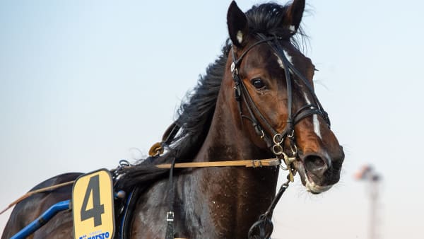 Foto: MIKAEL ROSENQUIST / TR BILD