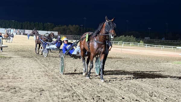 Foto: RICKARD HANSSON