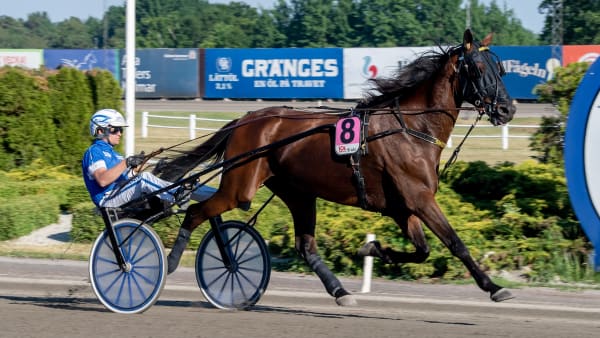 Foto: MIKAEL ROSENQUIST / TR BILD