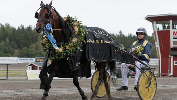 Foto: LENA EMMOTH / TR BILD