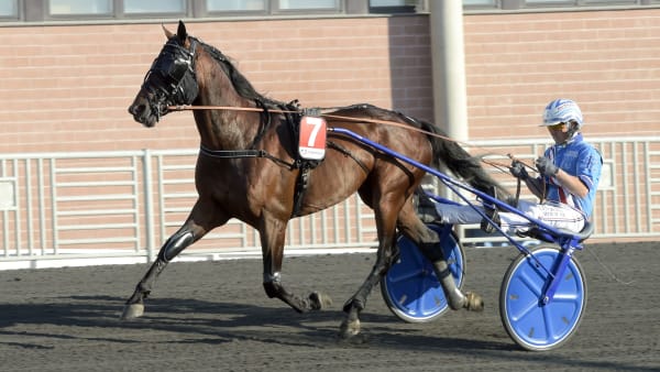 Foto: LARS JAKOBSSON / TR BILD