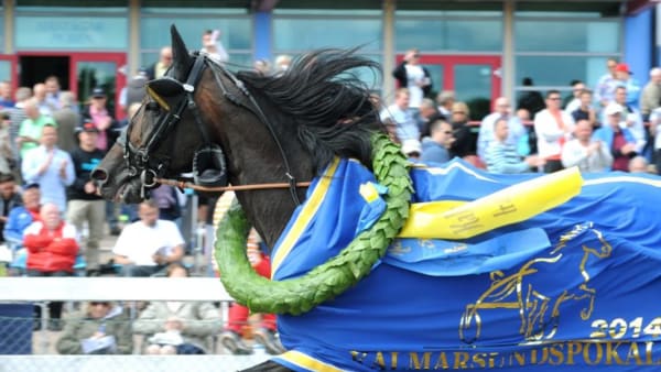 Foto: JÖRGEN TUFVESSON/ALN