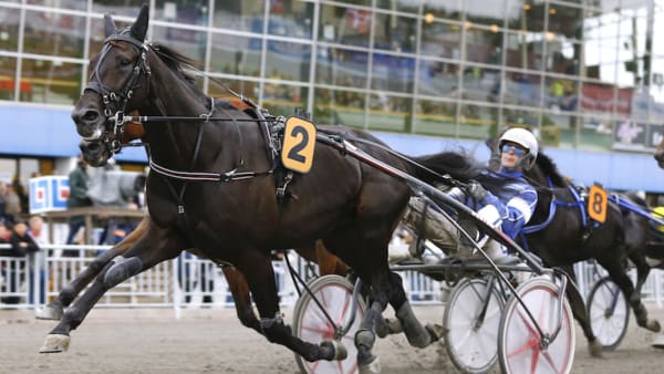 Foto: Maria Holmén/TR Bild