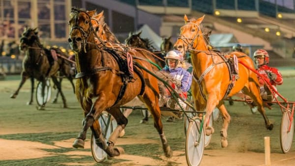 Foto: JÖRGEN TUFVESSON/ALN