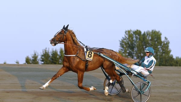 Foto: MARIA HOLMÉN / TR BILD